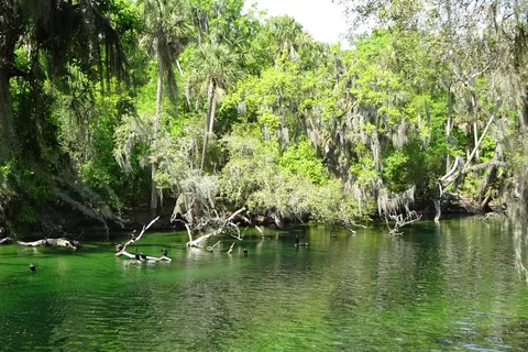 Blue Spring State Park