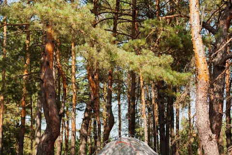 Wheelock Lake Campground