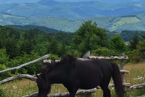 Grayson Highlands State Park