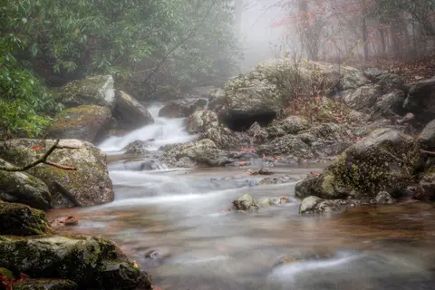 Grayson Highlands State Park