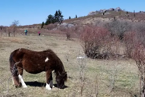 Grayson Highlands State Park