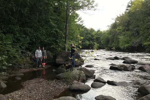 River Forest Wolf River Camping