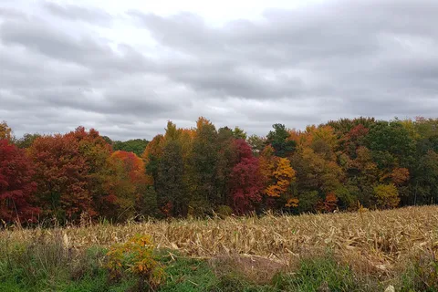 Smith Grove Camp Grounds