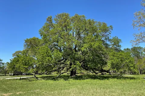 Caesar Oaks RV Park, Stable, and Campground