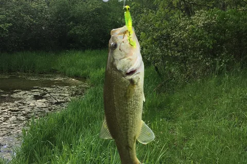 Willow Lake Park Inc