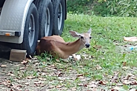 Deer Valley Park Campground