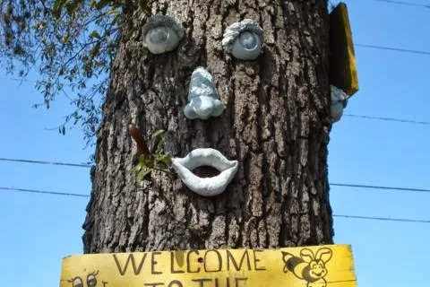 The Bees RV Resort
