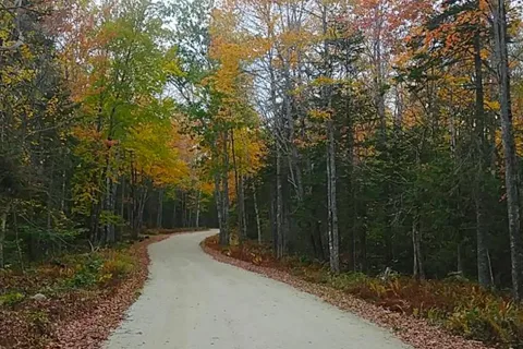 Balsam Cove Campground