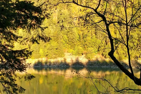 Emory Creek Provincial Park