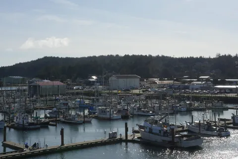 Charleston Marina RV Park