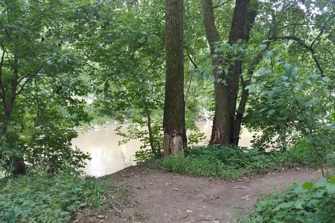 Old Mill Run Park