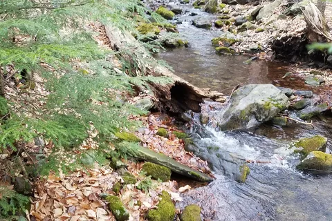 Mount Pocono Campground