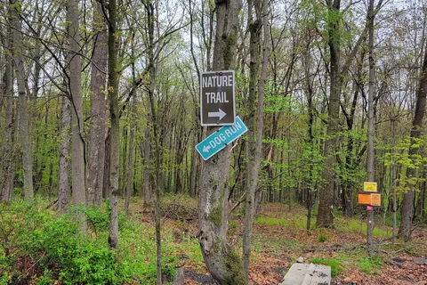Mount Pocono Campground