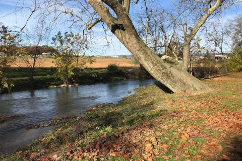 Twin Bridge Meadow Family Campground