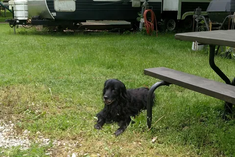 Cherokee Park Campground