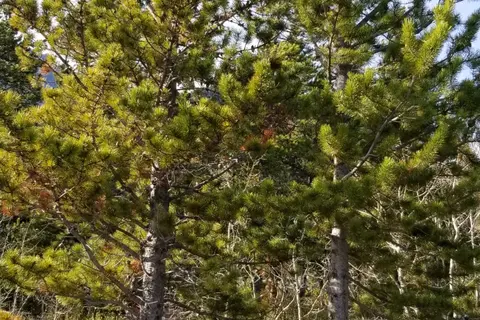 Saunders Provincial Recreational Area