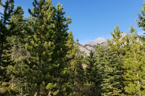 Saunders Provincial Recreational Area