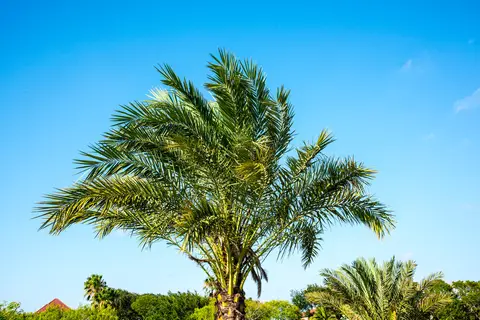 Laguna Shore Village RV Park