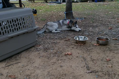 Rock Creek Road RV Park