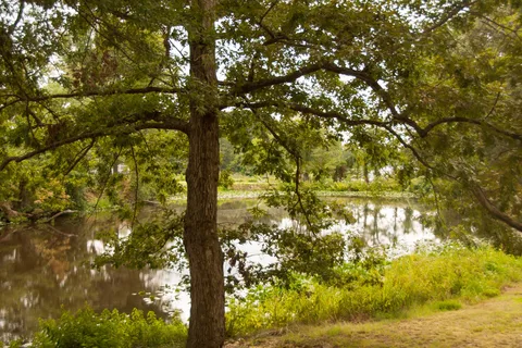 Harbor View RV and Camping Resort