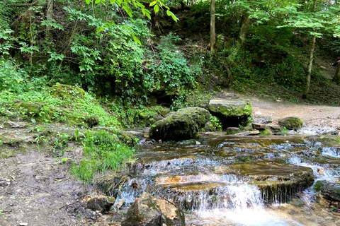 Franklin Creek State Natural Area Equestrian