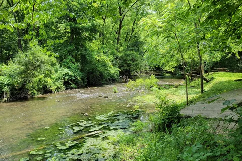 Franklin Creek State Natural Area Equestrian