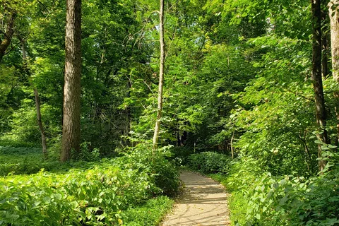 Franklin Creek State Natural Area Equestrian