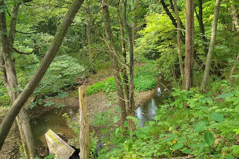 Franklin Creek State Natural Area Equestrian