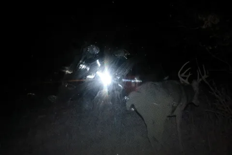 TTCM Bellevue Campground