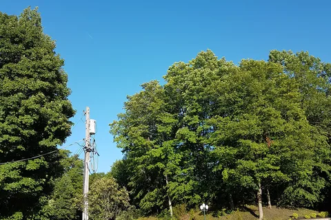 Woodland Park