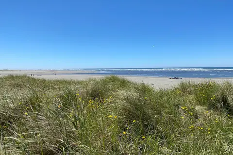 Pacific Beach State Park