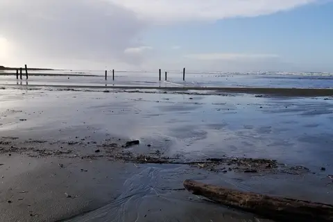 Pacific Beach State Park