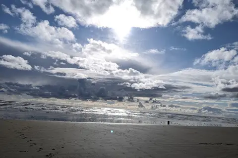 Pacific Beach State Park