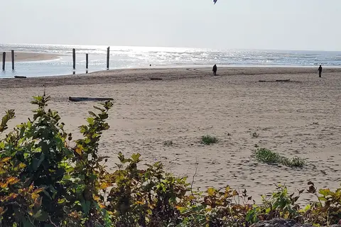 Pacific Beach State Park