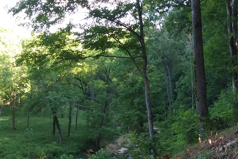 Sycamore Springs Park - Roberson Foundation