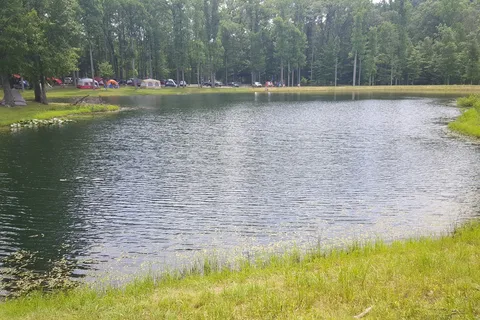 Sycamore Springs Park - Roberson Foundation