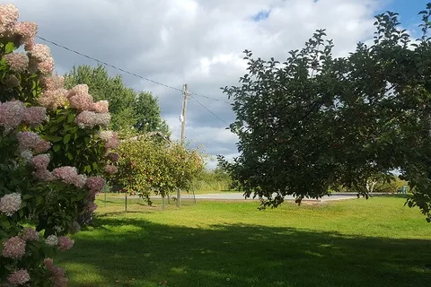 Camping Auclair