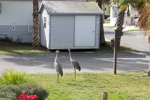 Holiday Travel Park