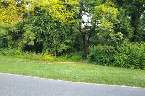Loft Mountain Campground - Shenandoah National Park