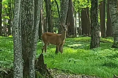 Hiawatha Trailer Resort