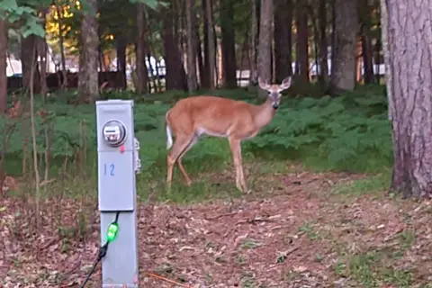 Hiawatha Trailer Resort