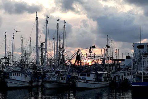 Boomtown Biloxi RV Park