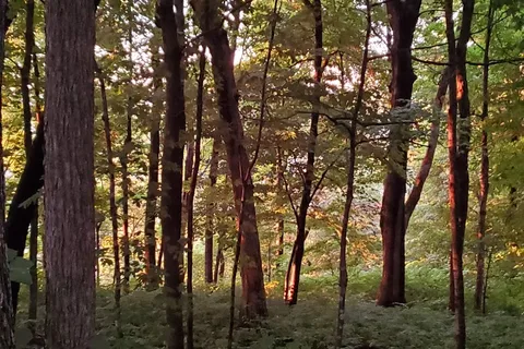 Wisconsin Ridge - Wyalusing State Park