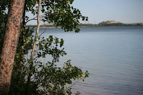 Dickson RV Resort