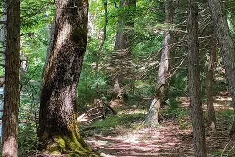 Cades Cove Campground - Great Smoky Mountains National Park