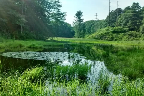 Silver Springs Campground