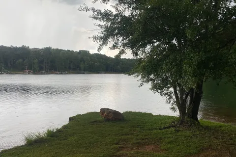 The Point RV at Lake Hartwell