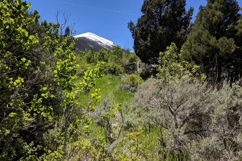 Lower Lehman Creek - Great Basin National Park