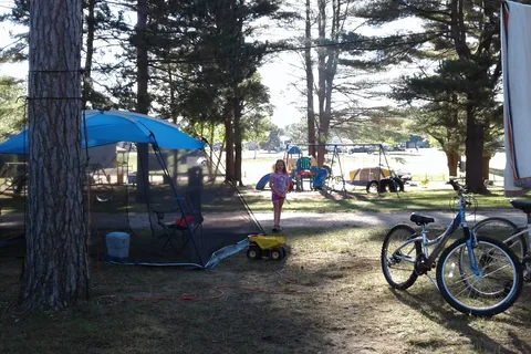 Mecosta Pines Campground