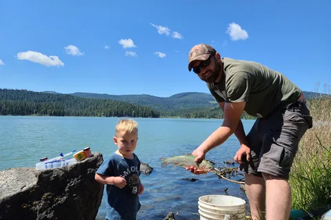 Willow Lake Resort